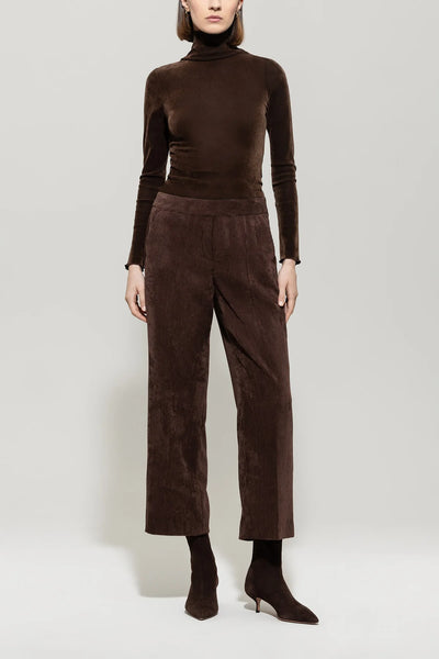 Velvet Ling sleeve Fitted Top
