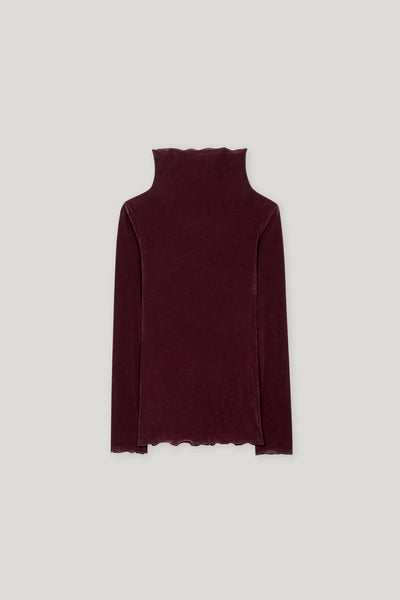 Velvet Ling sleeve Fitted Top