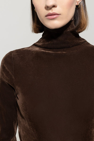 Velvet Ling sleeve Fitted Top
