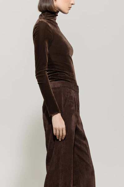 Velvet Ling sleeve Fitted Top