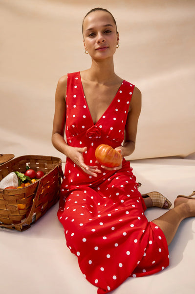 Terena Dress