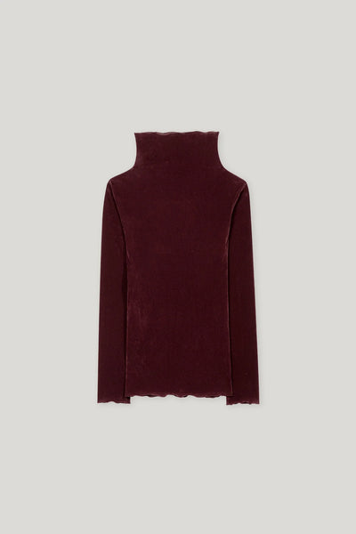 Velvet Ling sleeve Fitted Top