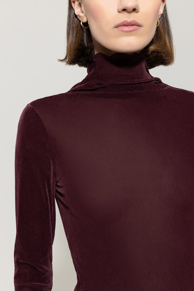 Velvet Ling sleeve Fitted Top