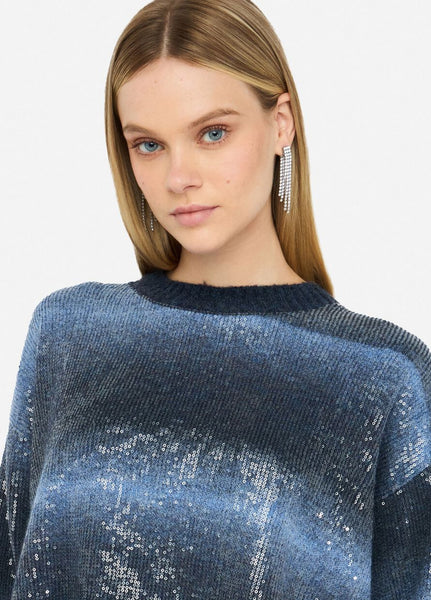 Jumper with Sequin
