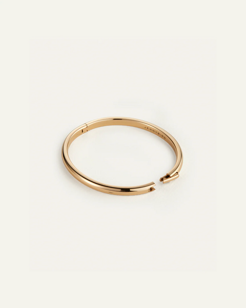 Remi Bangle