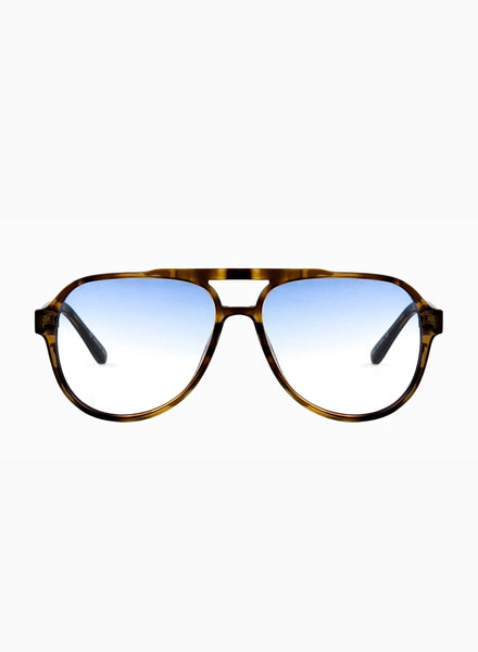 Stevie-tortoiseshell