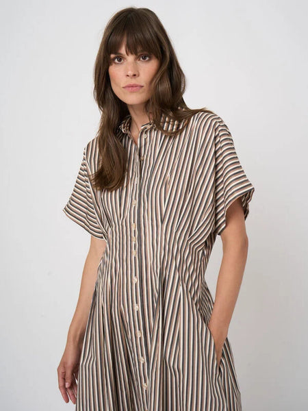 A-Line Stretch Cotton Dress