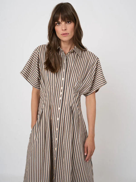 A-Line Stretch Cotton Dress