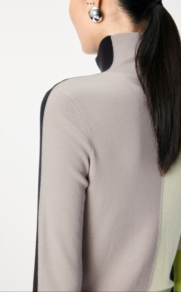 Turtle Neck Multi Colour Sweater