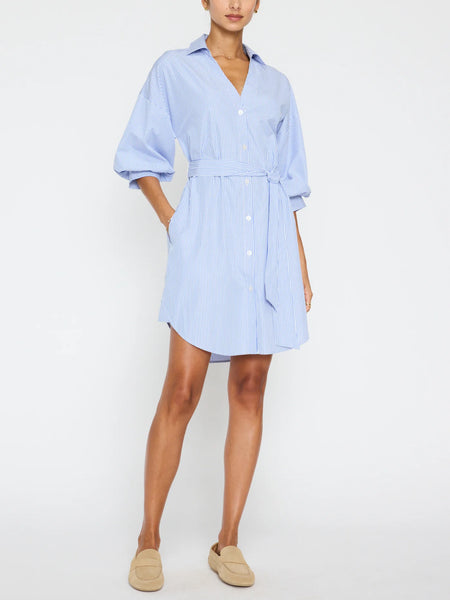 Kate Belted Shirt Dress