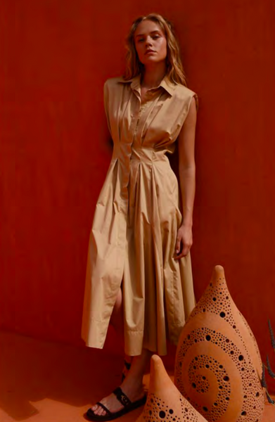Cosmos A-Line Dress