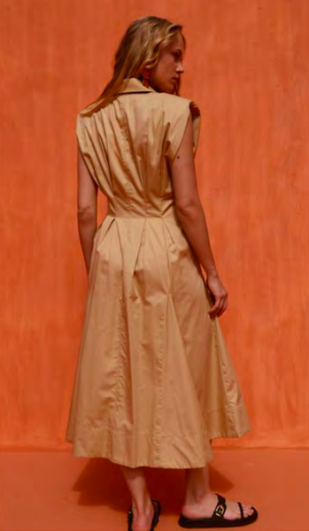 Cosmos A-Line Dress