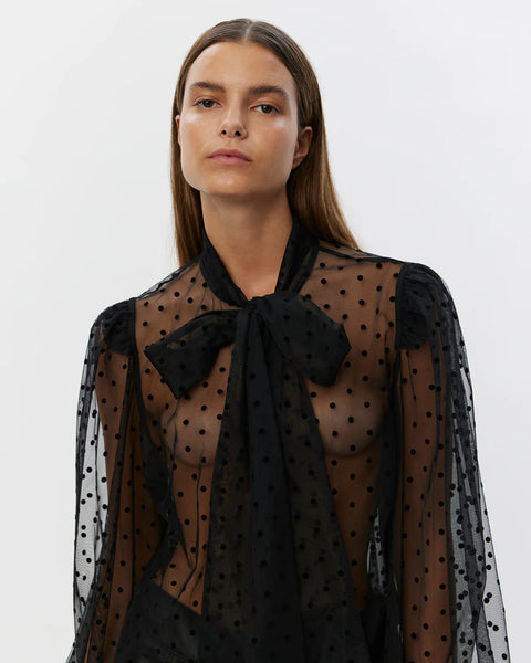 Zaylasw Sheer Blouse